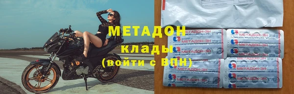 шишки Абаза