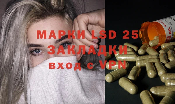 шишки Абаза