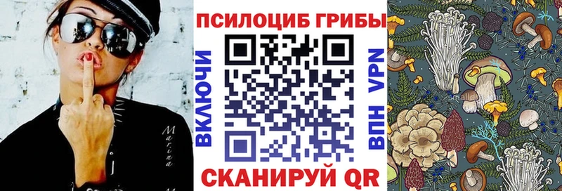 Псилоцибиновые грибы GOLDEN TEACHER  закладка  Магадан 