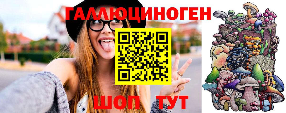 Галлюциногенные грибы Psilocybe  Вход с VPN  Магадан 