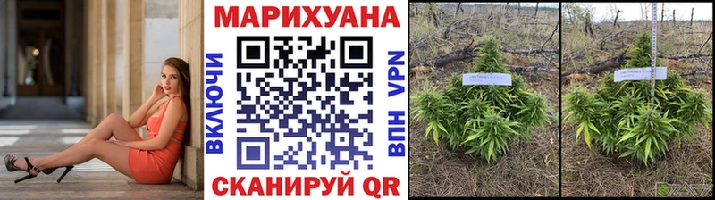 Каннабис LSD WEED  Магадан 